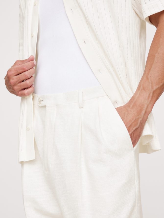 Pleated Cotton-Linen Blend Suit Pant - Image 4